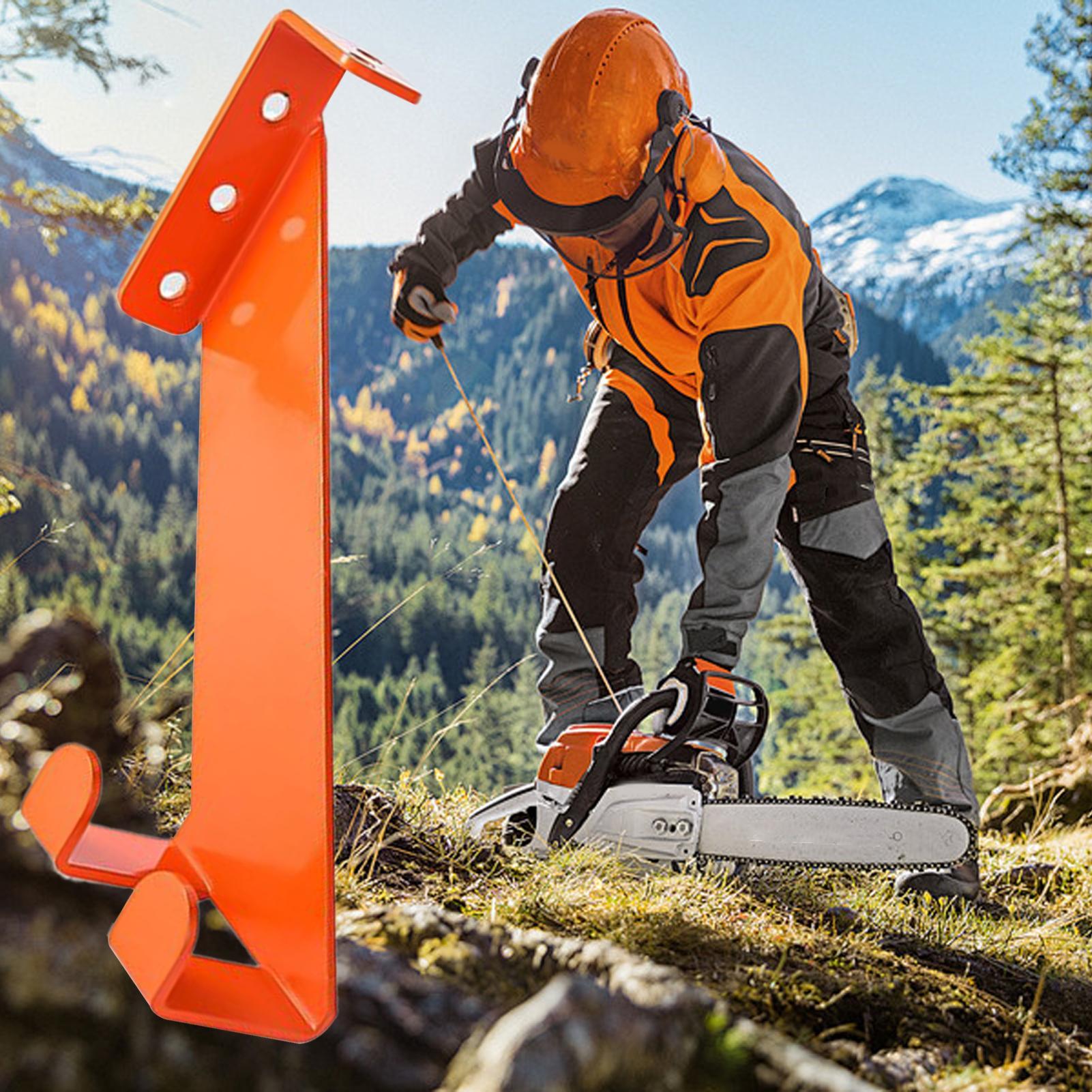 Chainsaw Wall Mount Stainless  – обзор и цена Workshop Tools Display